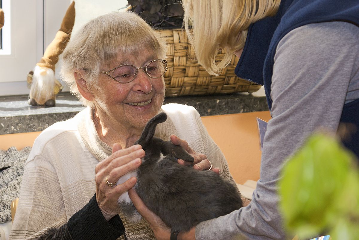 Tiertherapie in der ASB-Tagespflege Stolzenau